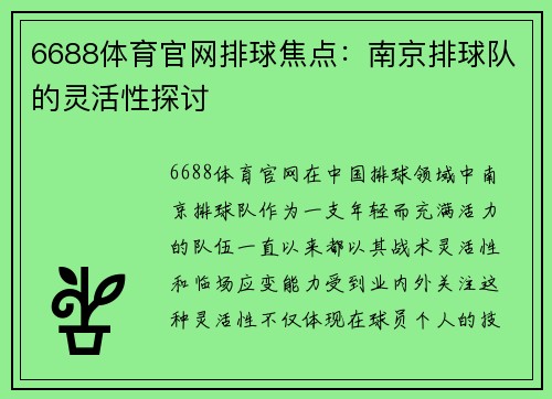 6688体育官网排球焦点：南京排球队的灵活性探讨